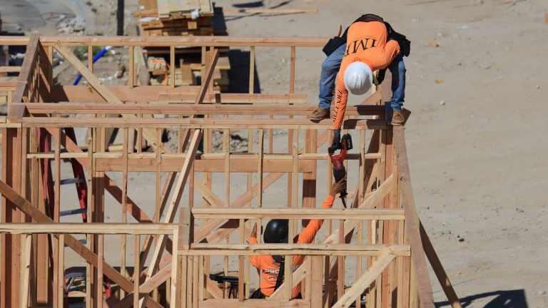 Construction et rénovation en ossature bois : guide complet